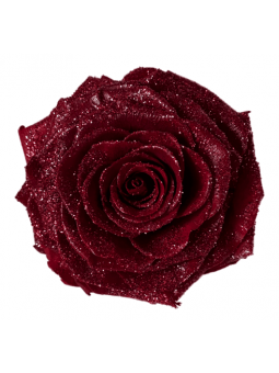 Rose stabilisée rouge...
